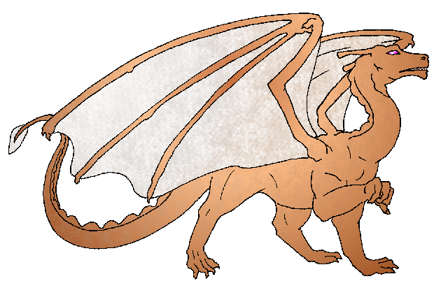 a-adult-copper.gif